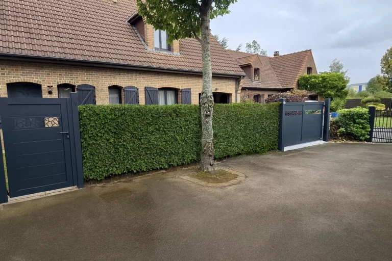 Portail coulissant ROYAN gris 7016 avec portillon assorti et décor laser éclats – Eurofactory fabrication française